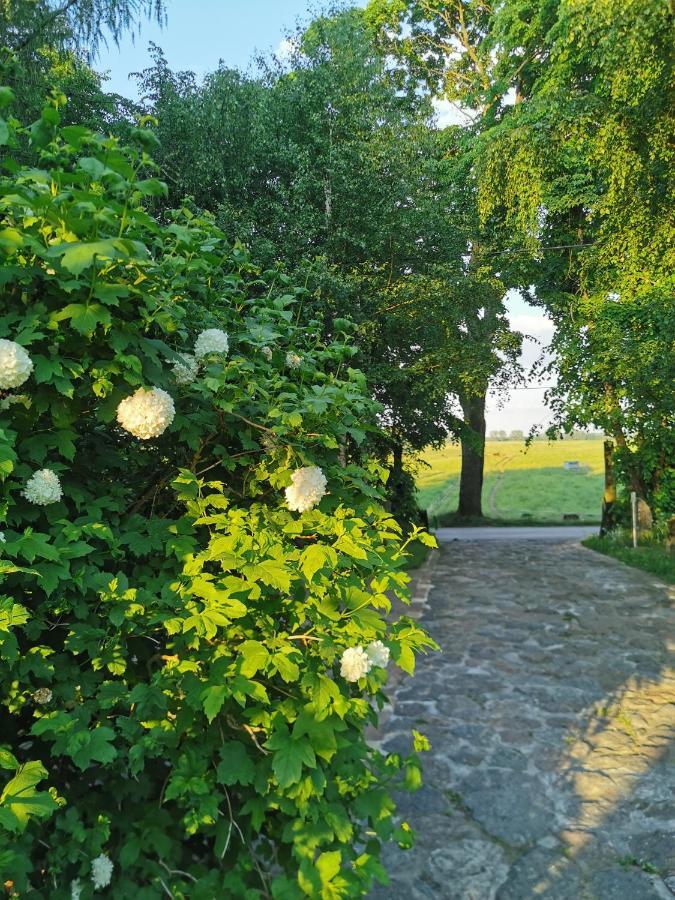 Pod Lipami Villa Zawady Oleckie Buitenkant foto